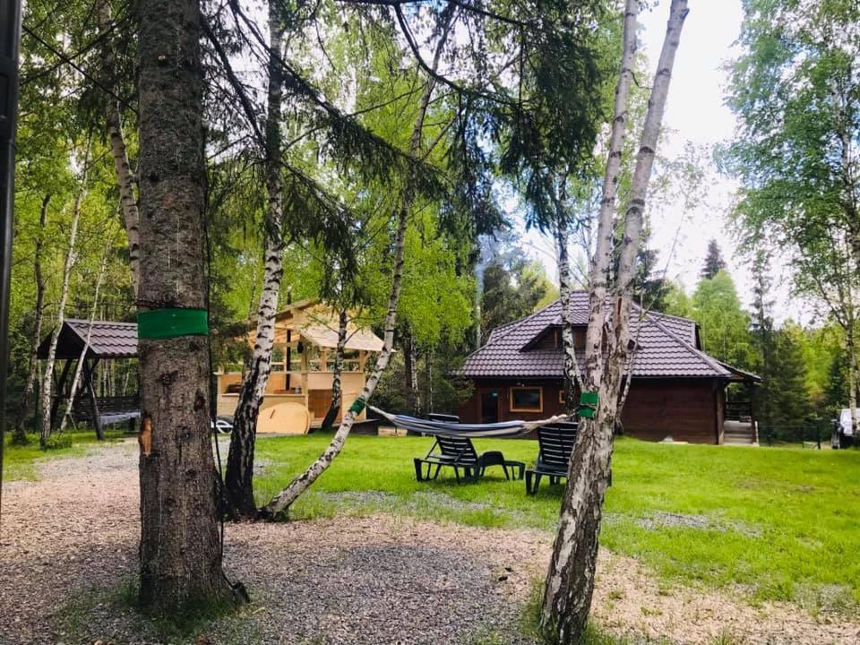 Cabana Din Padurea Belis Si Casuta Din Copac Cluj-Napoca Exterior photo